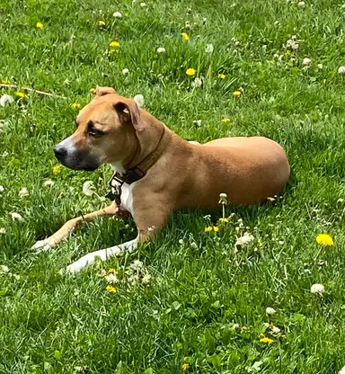 Leigh’s Vintage Treasure Chest