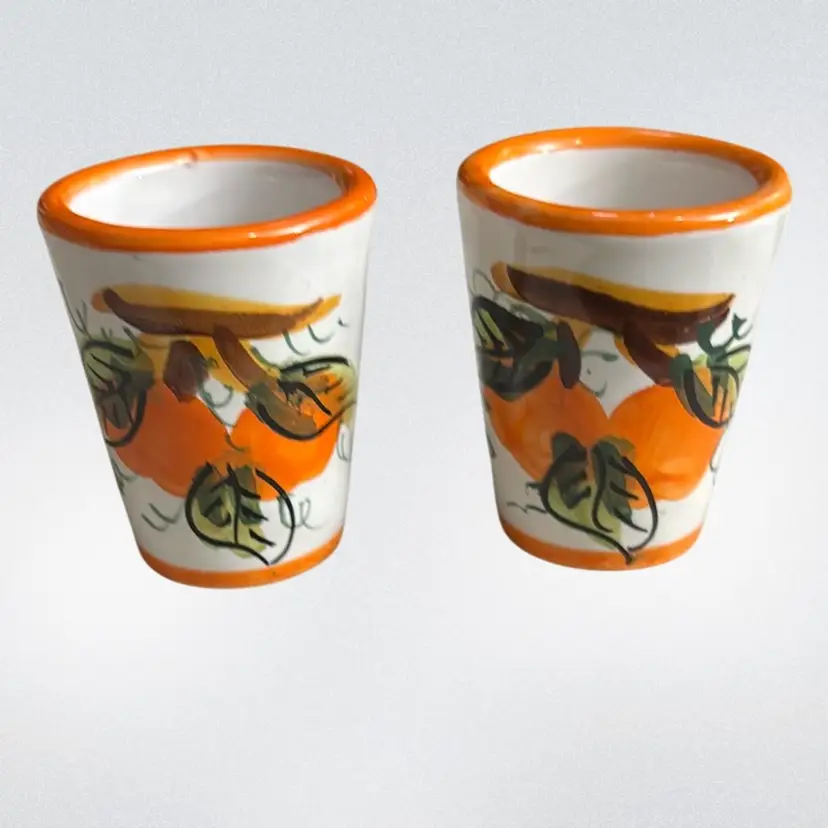 Made In Italy Shot Glasses Set Of 2