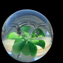 Tropical Plant And Bug Paper Weight