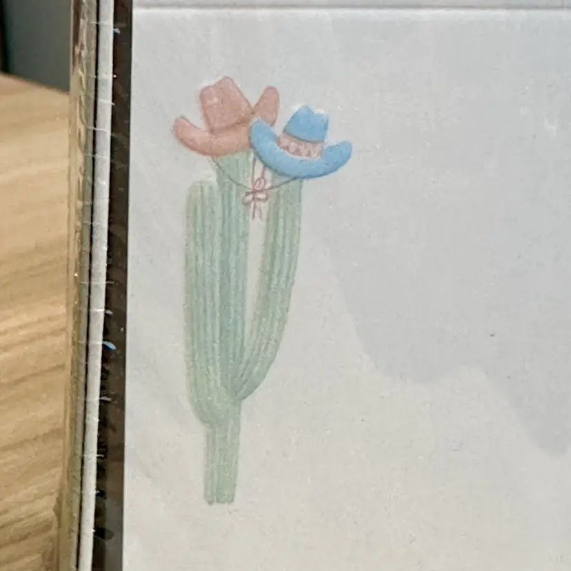 New Old Stock Williamhouse Nu-white Vellum Embossed Cactus With Hats Announcements