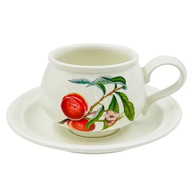 COFFEE CUP & SAUCER Port Meirion Pamona Grimwoods Royal George Peach England  **Read**