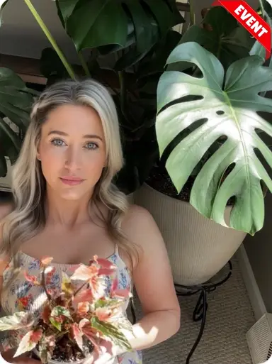 Luck O The Raid Trail!