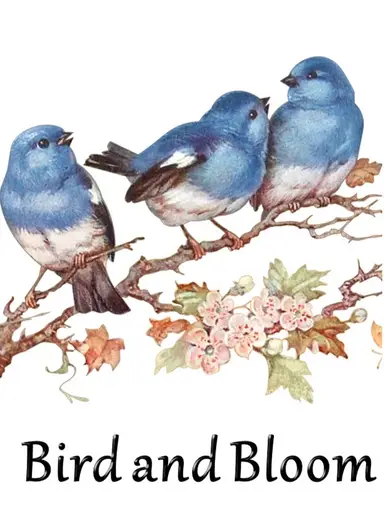 Weekly Vintage Variety w/BirdandBloom!