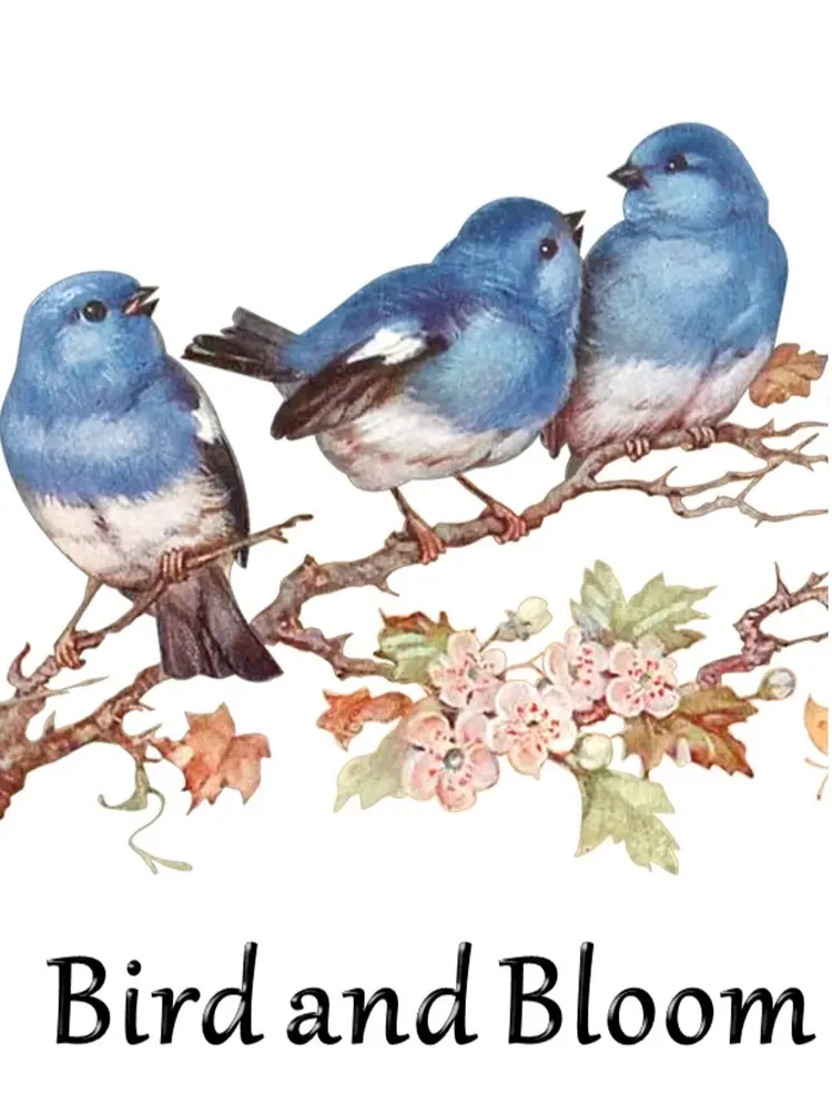 Weekly Vintage Variety w/BirdandBloom!