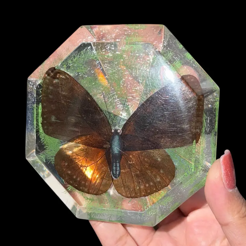 Faceted “Diamond” Lucite Taxidermy Butterfly Paperweight