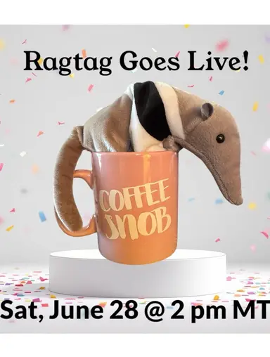 Here We Go… Ragtag’s First Live!