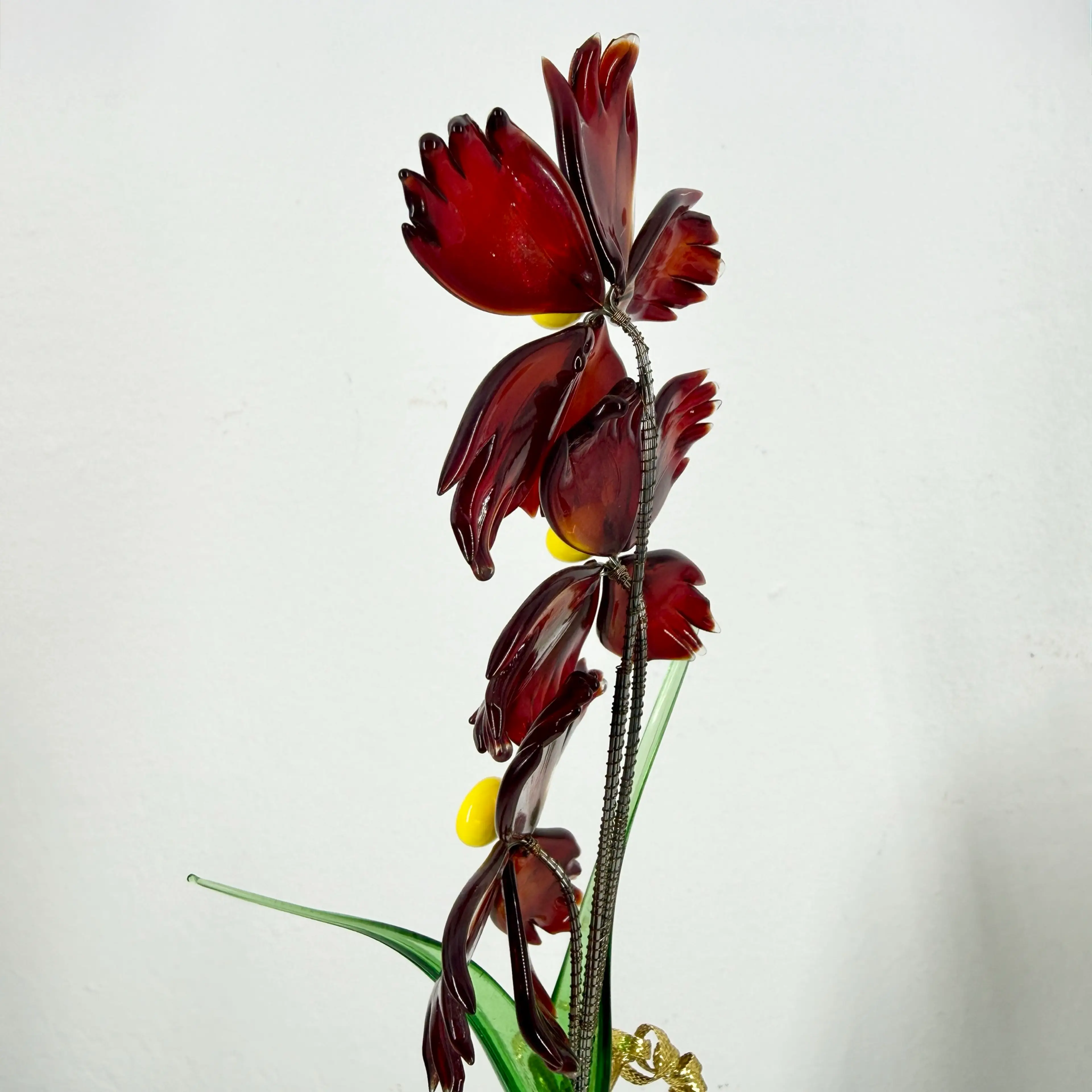 Image 5 of 5