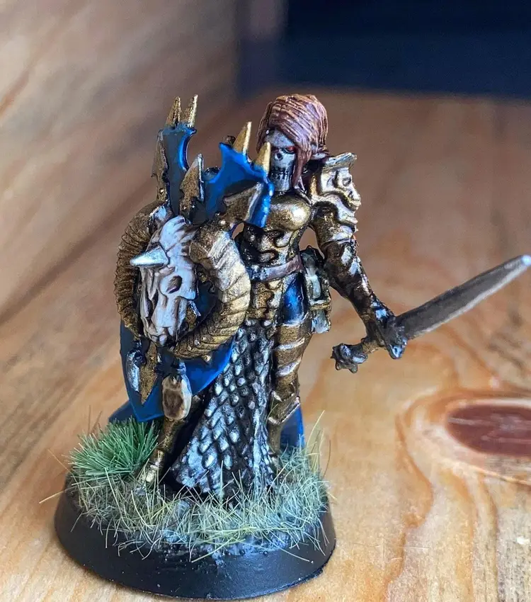Custom Painted Female Paladins Reaper Bones Mara Frostblade 77490