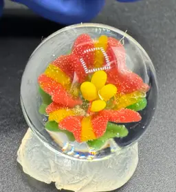 Contemporary Art Glass Marble Red Yellow Flower .83”