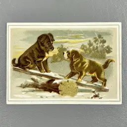Victorian Trade Card Brown Dogs Puppy Puppies Playing On Seesaw Outside 3x4.25"