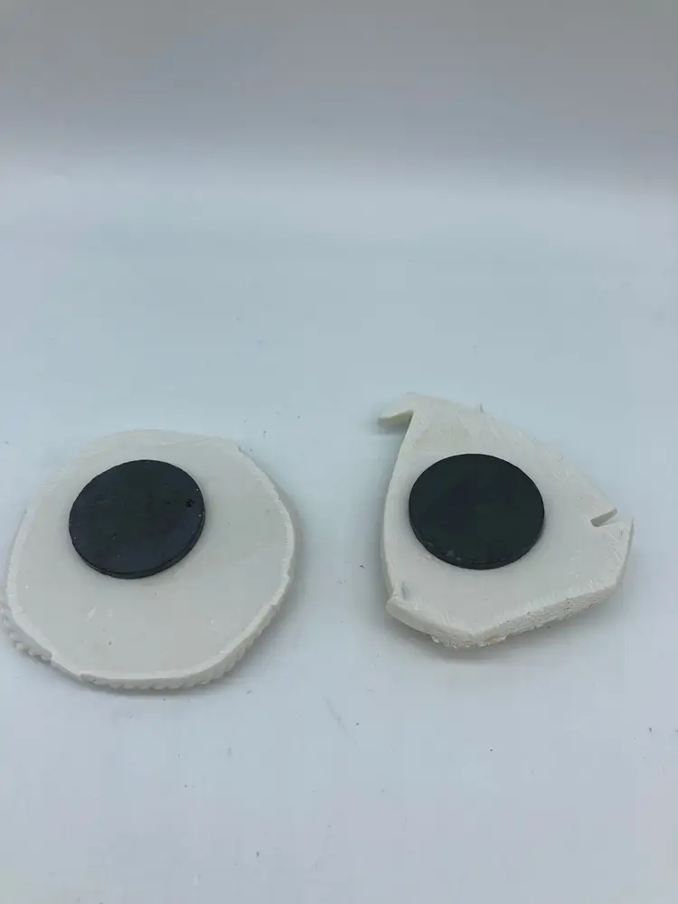 Turtle Beach Scene Magnets