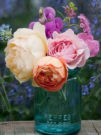 Potting Spring In The Air! 