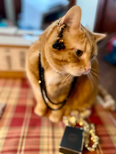 Jodi’s Junk And Gems