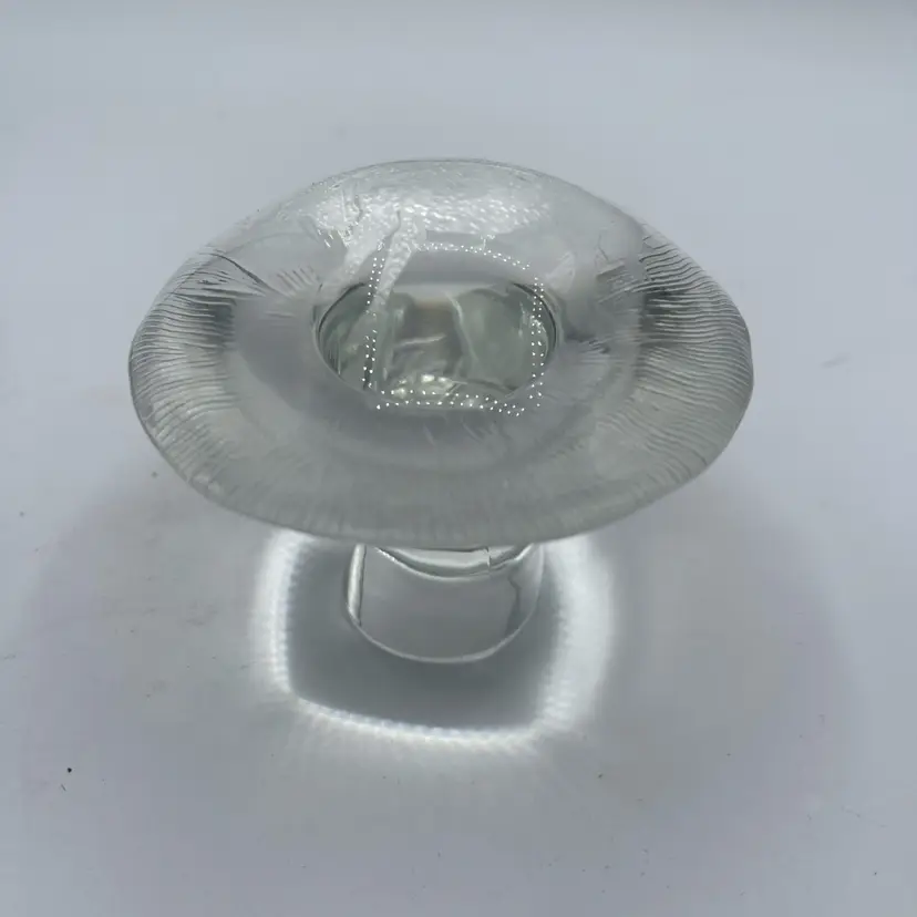 Viking Glass Zodiac Mushroom Clear Taurus Etched Paperweight 3” Tall Some Glow