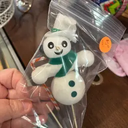 Snowman In Green Floral Pic