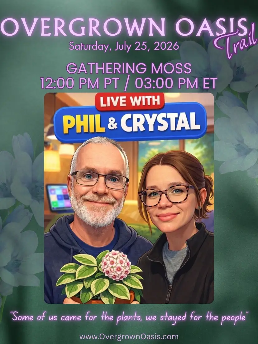 Livestream thumbnail