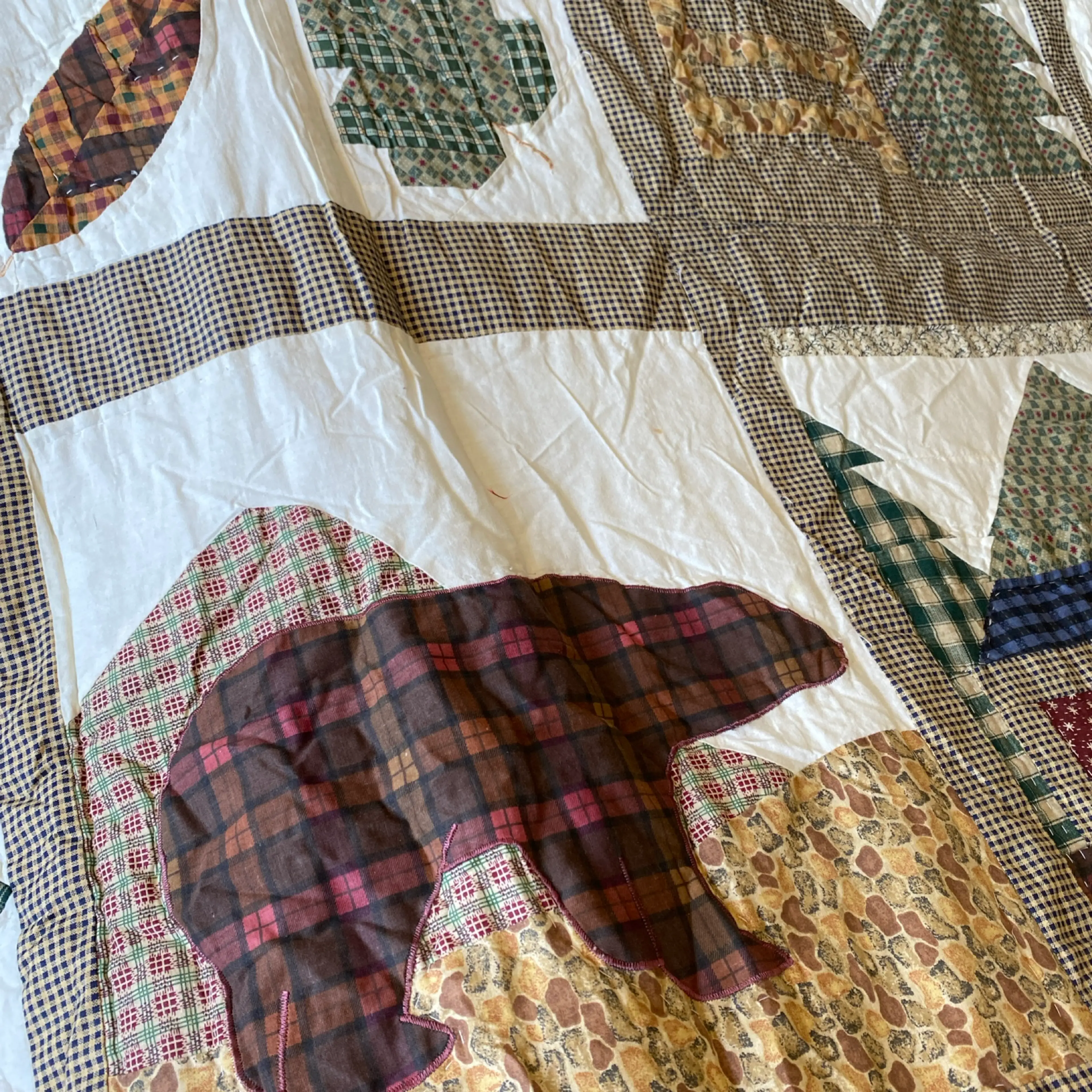 Image 5 of 9