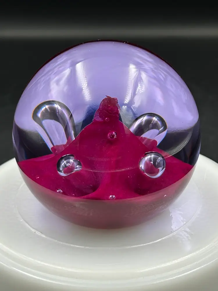 Caithness Scotland Red Moonflower Art Glass Paperweight Signed