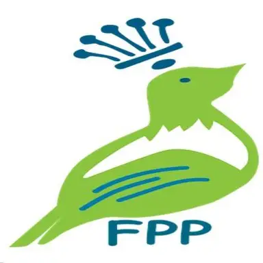 Finders Pickers Paper (Mel)