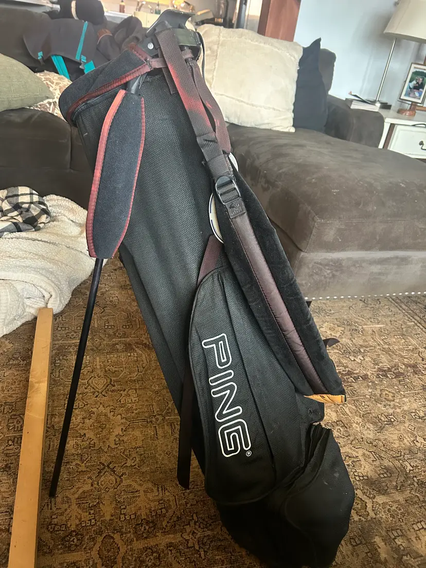 Vintage Ping Bag