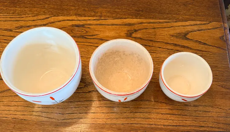 Mid Century Sears Roebuck & Co Oven Proof Lidded Refrigerator Bowls - Cattail Pattern