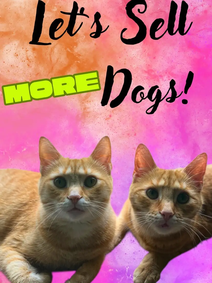 Livestream thumbnail