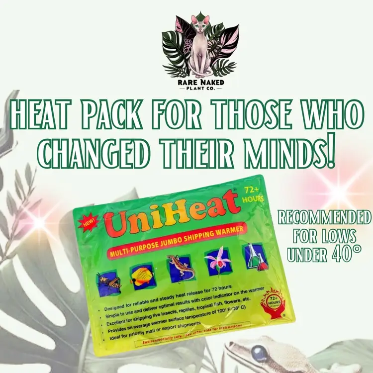 Heat Pack ONLY