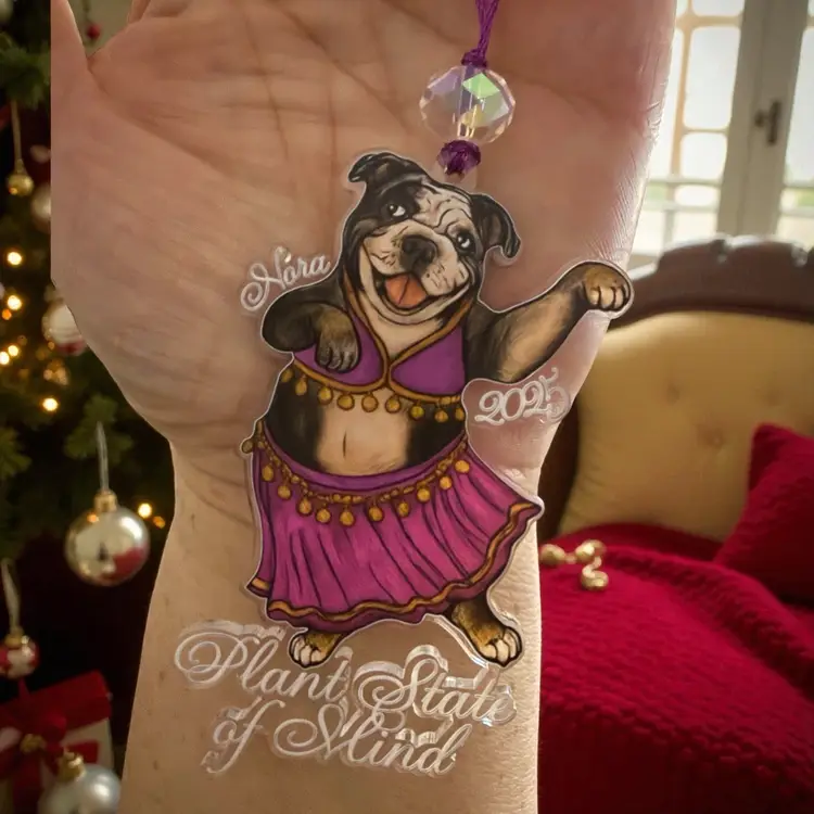 001-Plantstateofmind Nora 2025 Ornament! Preorder Special For JT Crew Only!