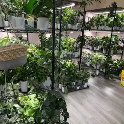 Shop (Not Shop) Hoarder’s Box