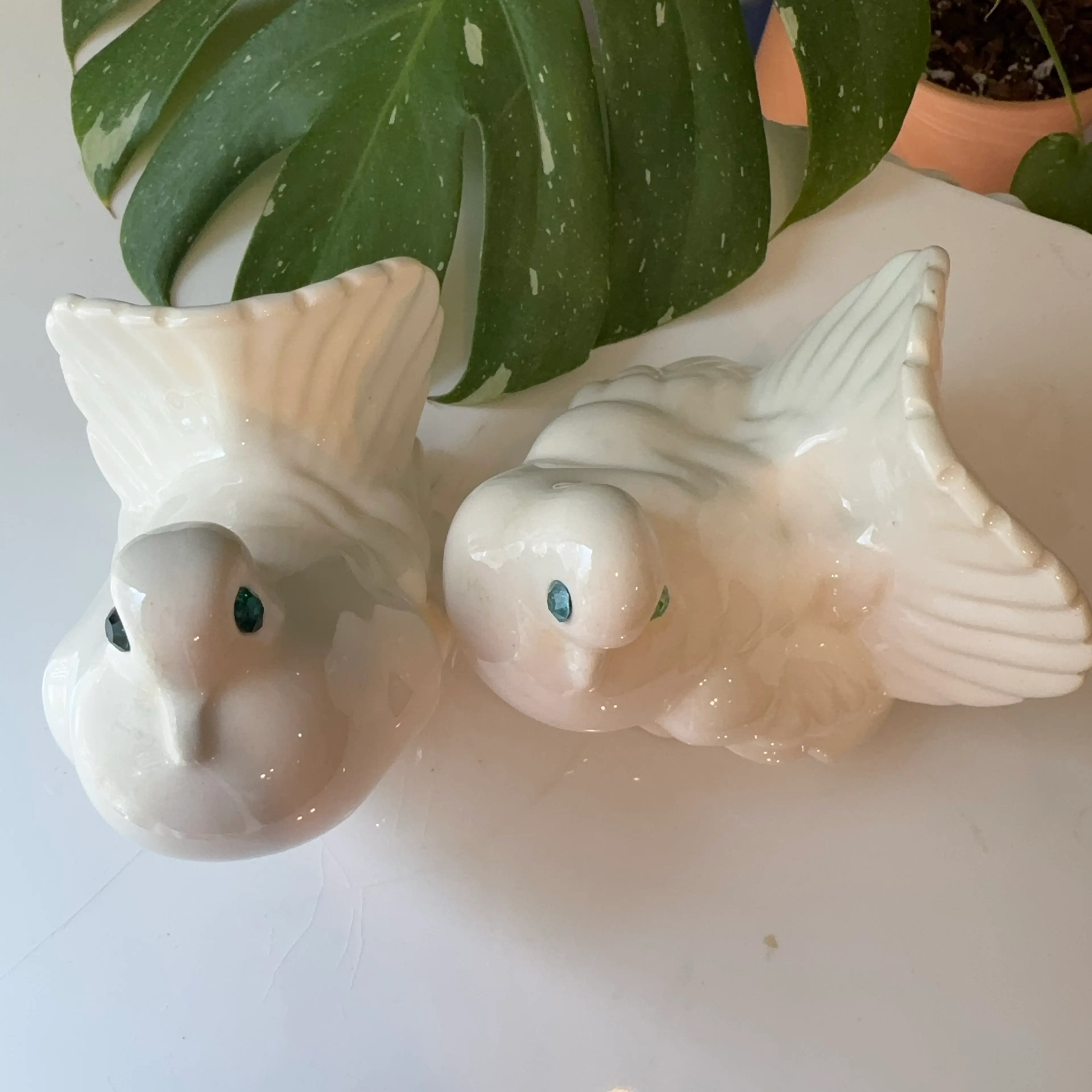 Image 2 of 5