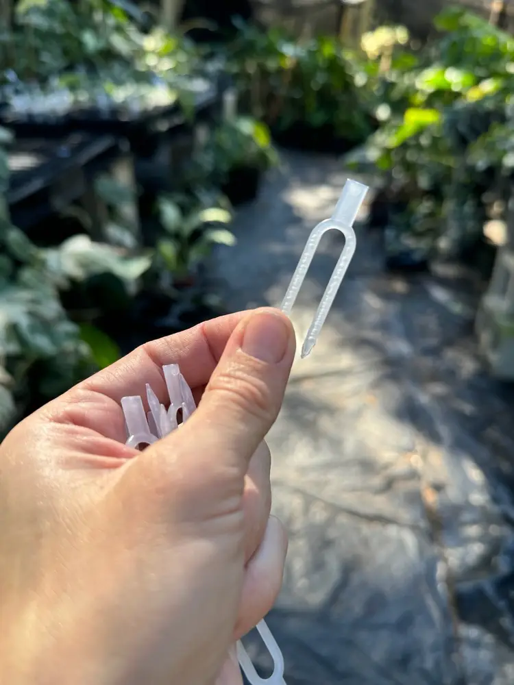 Clear Propagation Pins