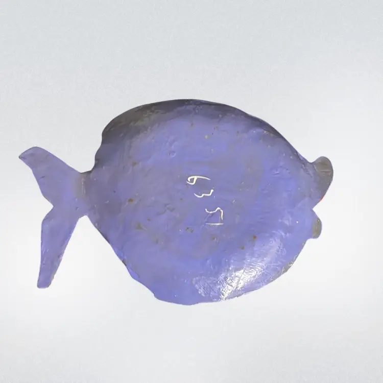 Colorful Fish Trinket Dish