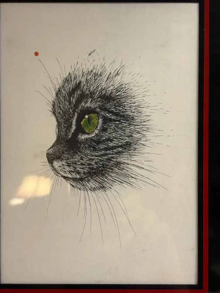 RABINDRA Print Of GREEN EYE'S CAT