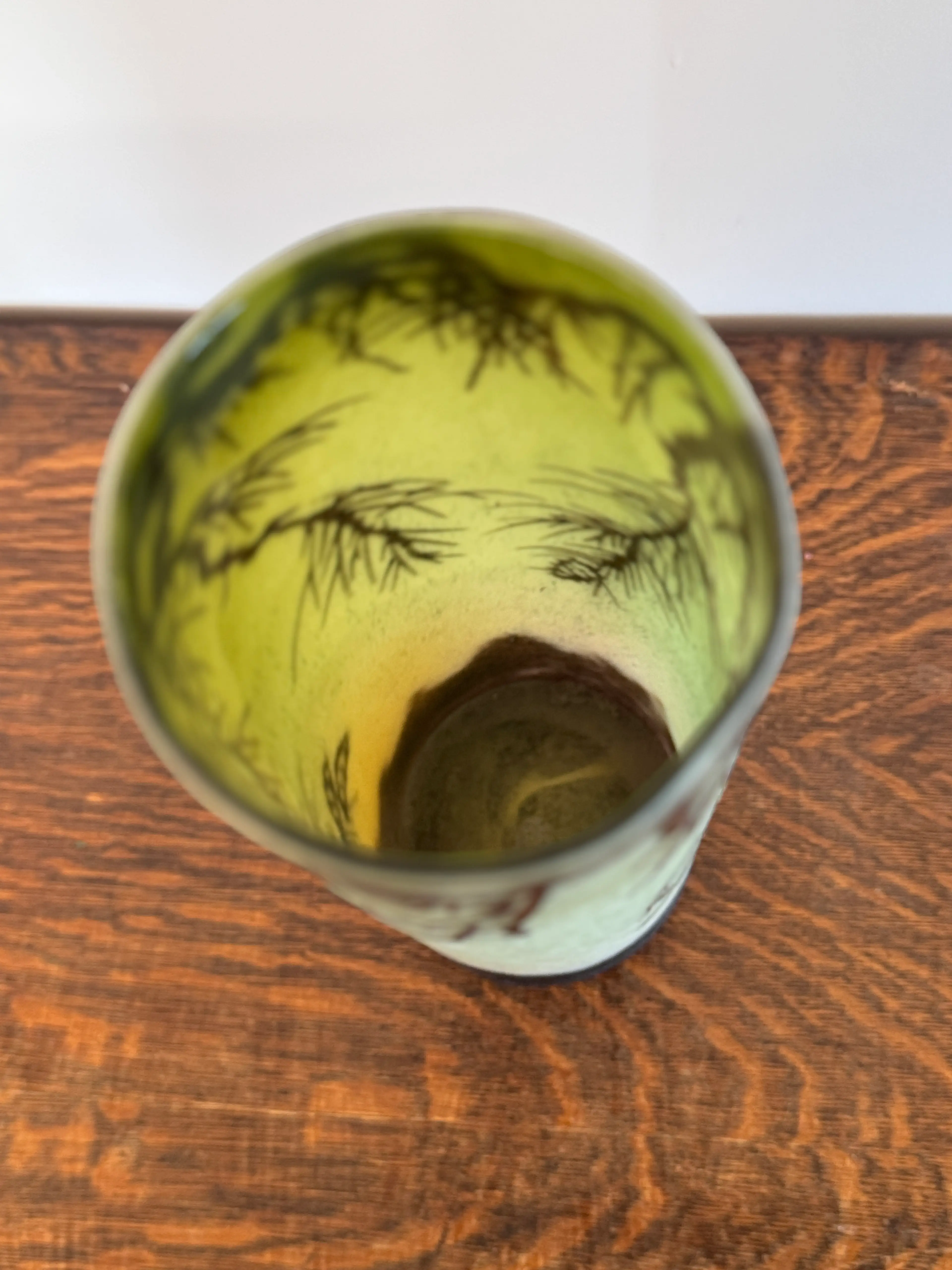 Image 5 of 14