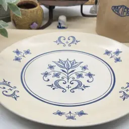 Vtg Blue And White Plate