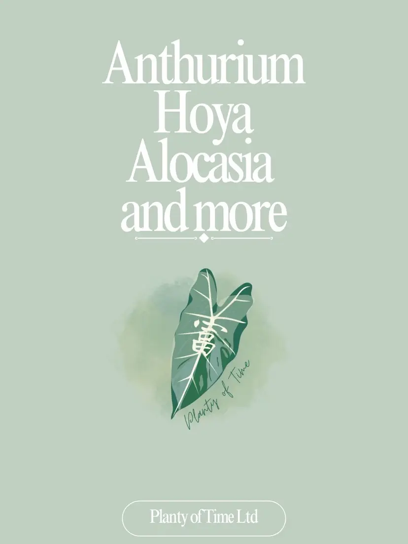 Livestream thumbnail