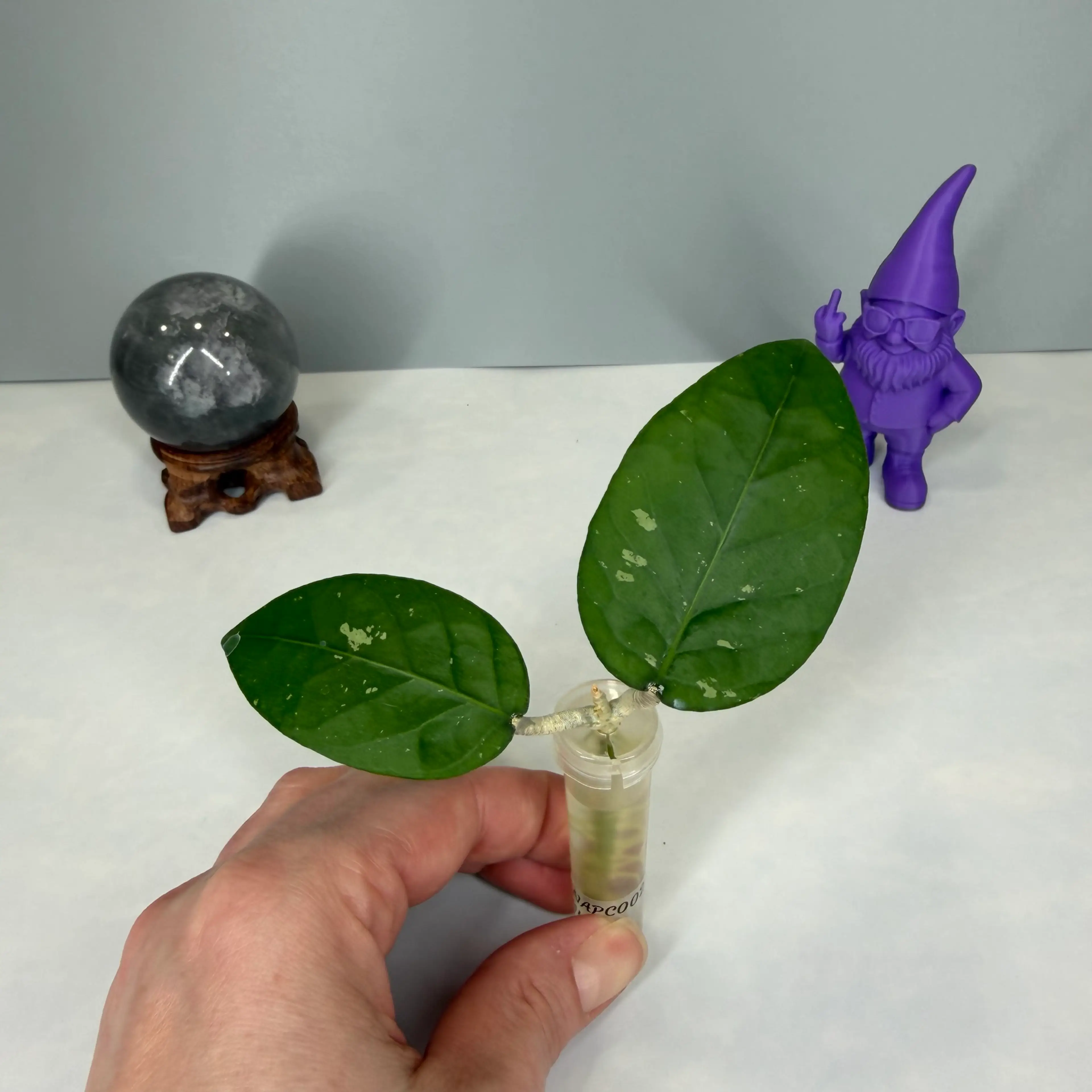 Image 1 of 3