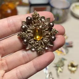 Amber Brooch