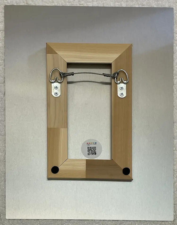 Vital Connections Fine Art Metal Print (12x16 in) Ready To Hang