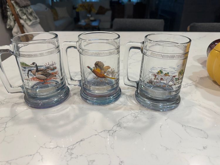Vintage Princess House Glass Mugs