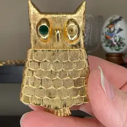 Owl One Eye