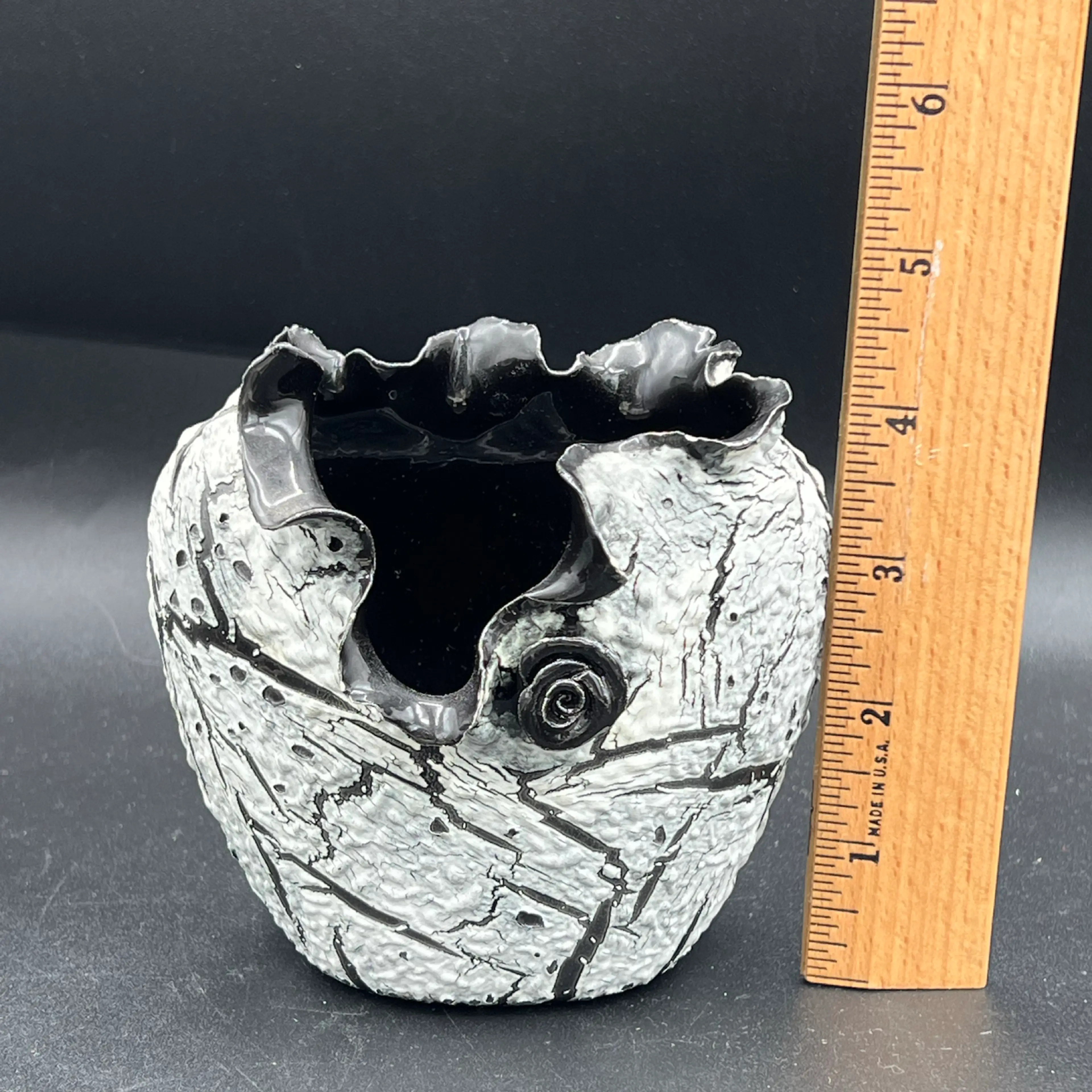 Image 5 of 5