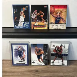 08 - Juwan Howard Lot