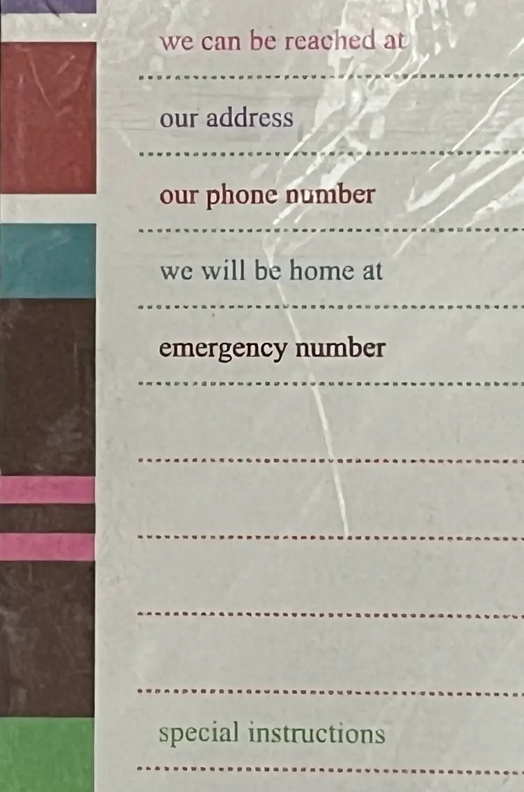 Baby Sitter Notes Emergency Pad With Colorful Border & Lines