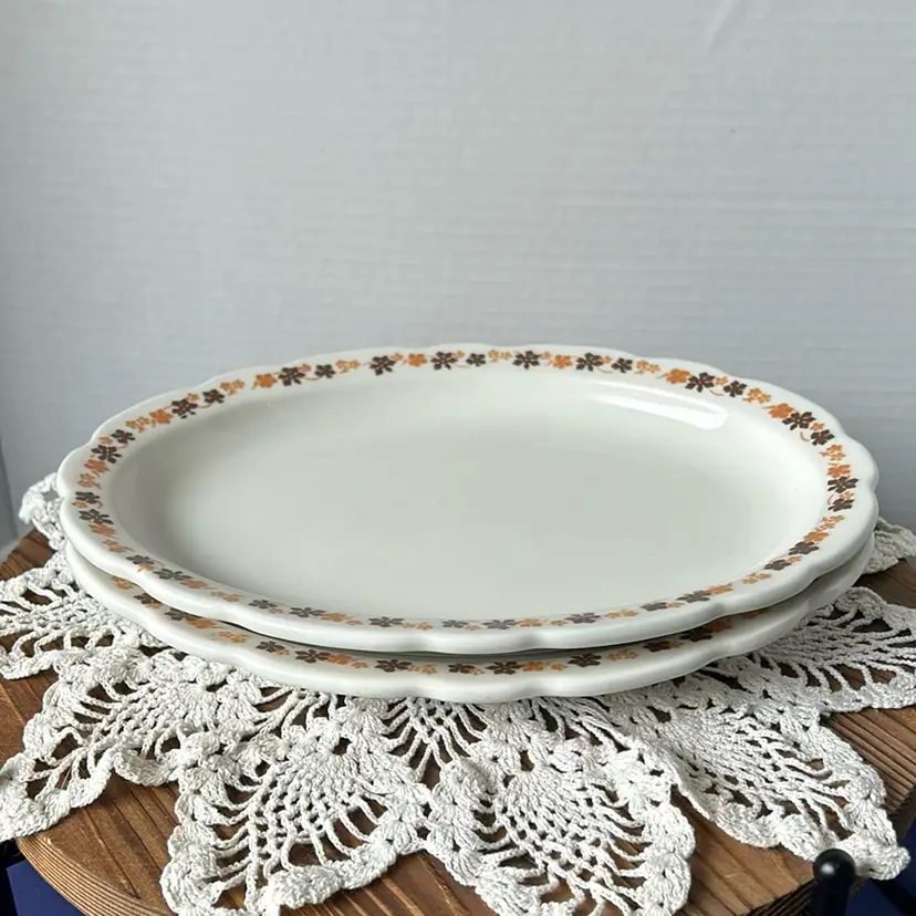 2 Vintage Buffalo China Platters 1970s