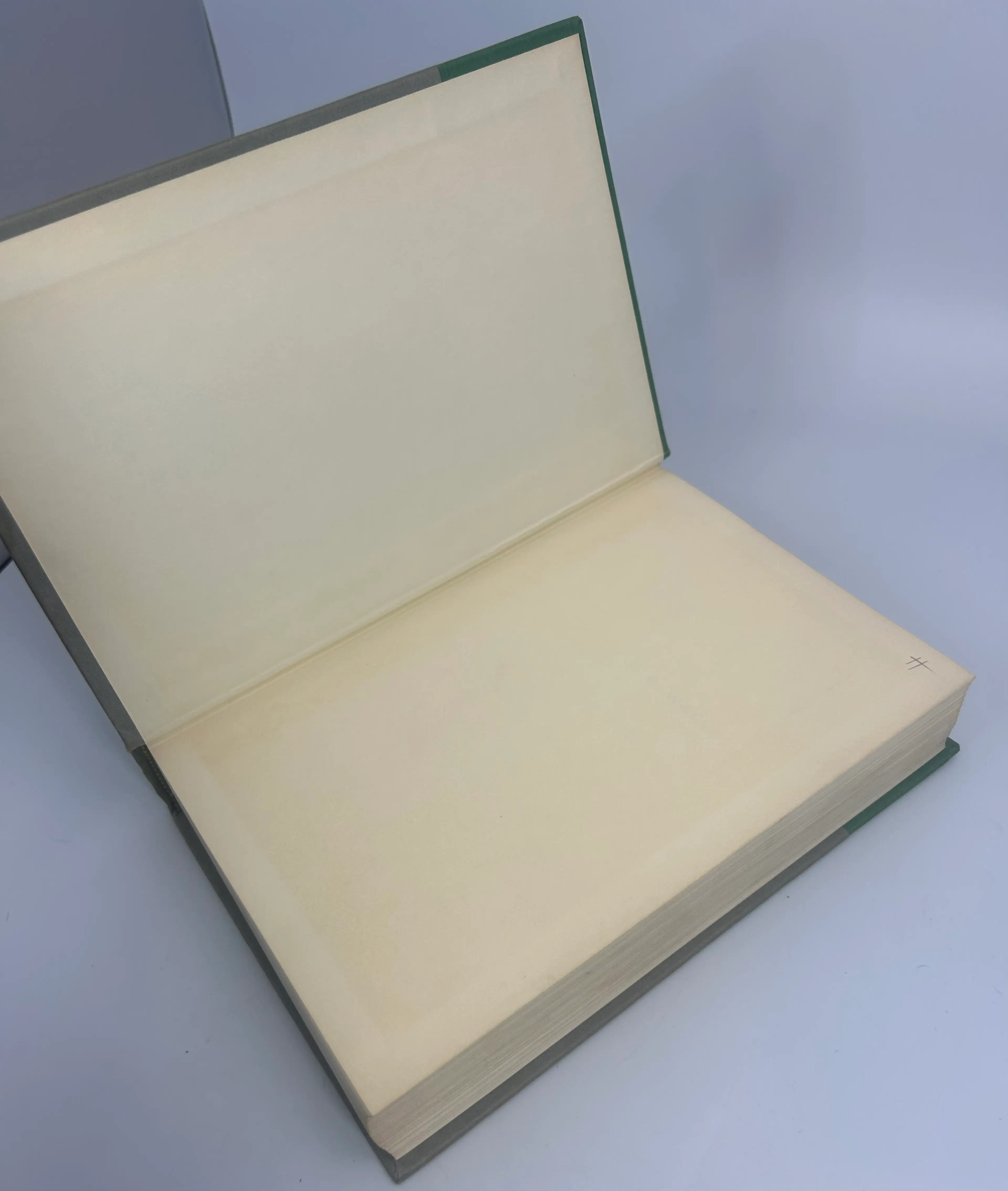 Image 4 of 10