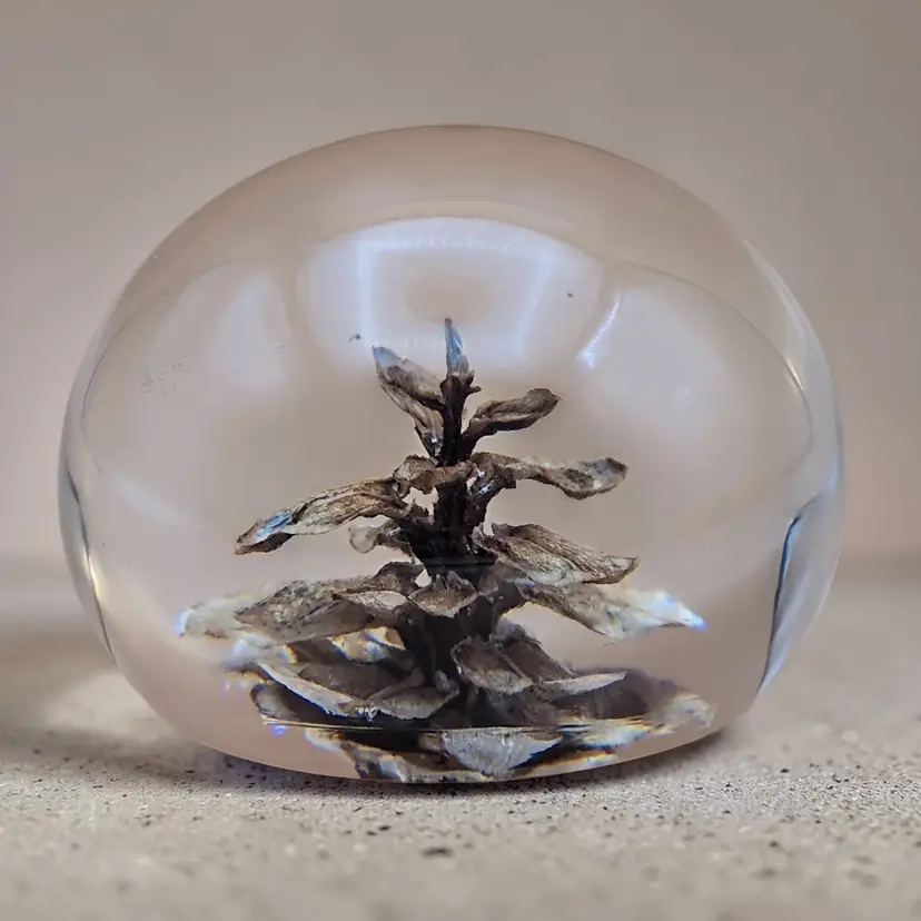 Vintage Pine Cone Paperweight Clear Resin Acrylic Dome Nature Home Decor Gift