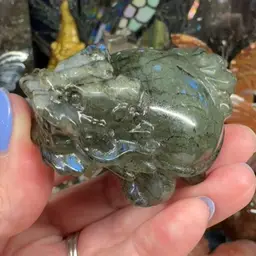 Labradorite Dragon Turtle 30AF