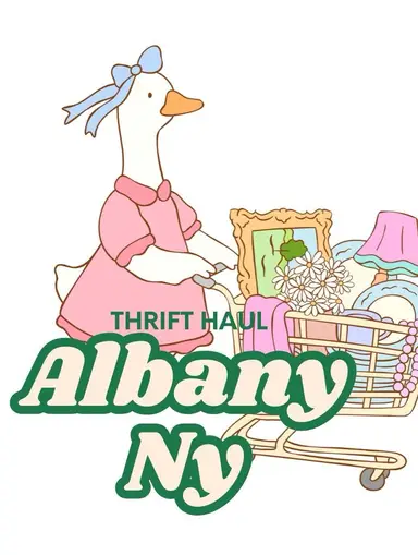 Treasures From Shopping Haul Albany NY