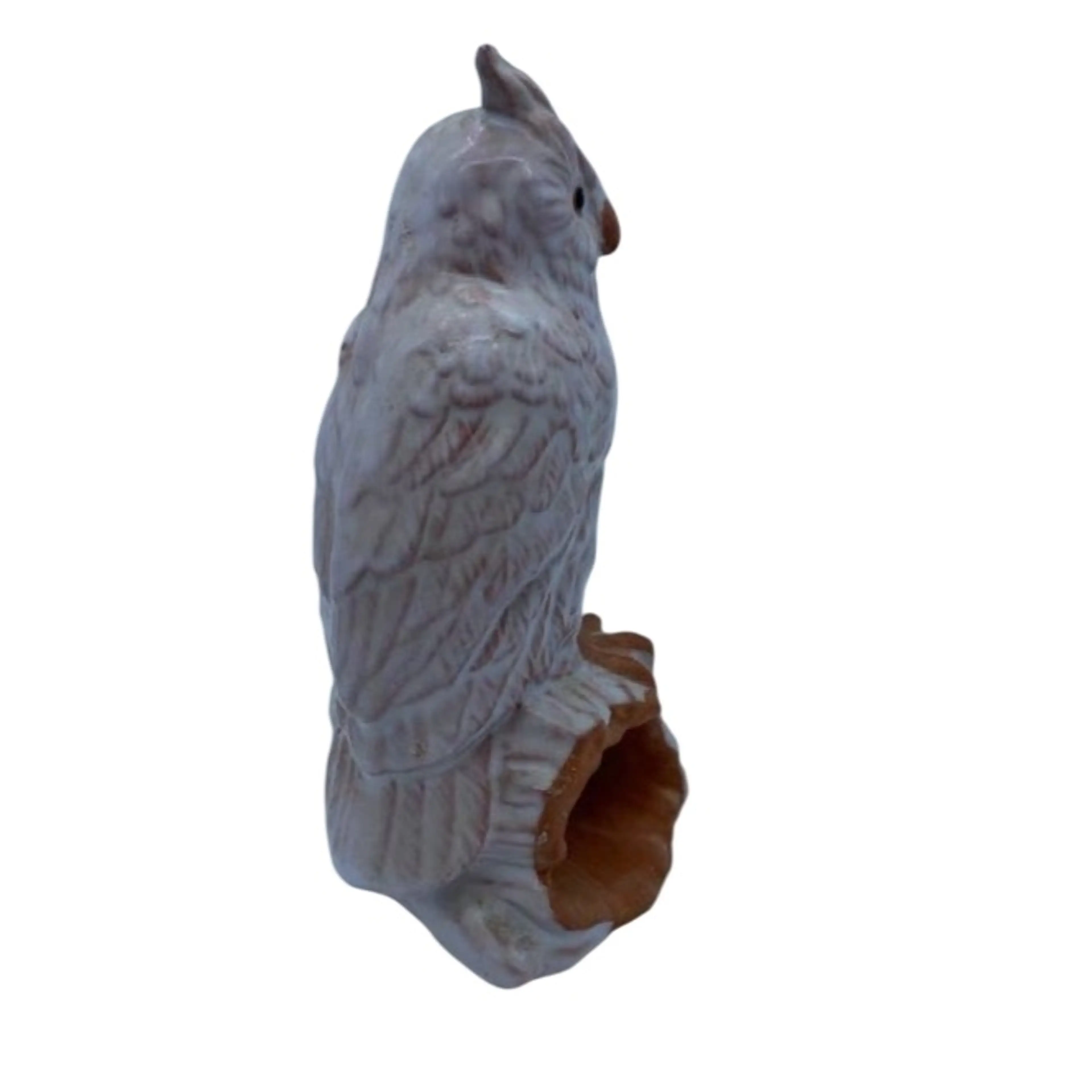 Image 5 of 8